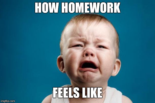 BABY CRYING | HOW HOMEWORK; FEELS LIKE | image tagged in baby crying | made w/ Imgflip meme maker