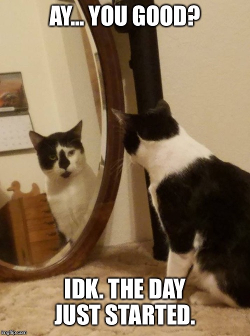 Mirror image | AY... YOU GOOD? IDK. THE DAY JUST STARTED. | image tagged in mirror image | made w/ Imgflip meme maker