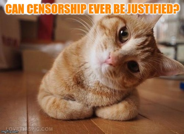 Yes? No? Maybe So? | CAN CENSORSHIP EVER BE JUSTIFIED? | image tagged in curious question cat | made w/ Imgflip meme maker