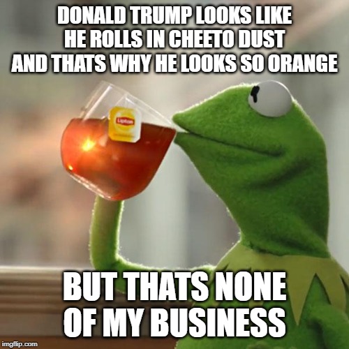 But That's None Of My Business | DONALD TRUMP LOOKS LIKE HE ROLLS IN CHEETO DUST AND THATS WHY HE LOOKS SO ORANGE; BUT THATS NONE OF MY BUSINESS | image tagged in memes,but thats none of my business,kermit the frog | made w/ Imgflip meme maker