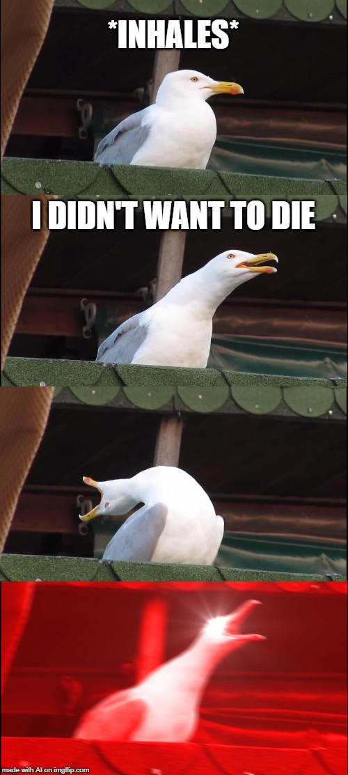 Inhaling Seagull Meme | *INHALES*; I DIDN'T WANT TO DIE | image tagged in memes,inhaling seagull | made w/ Imgflip meme maker