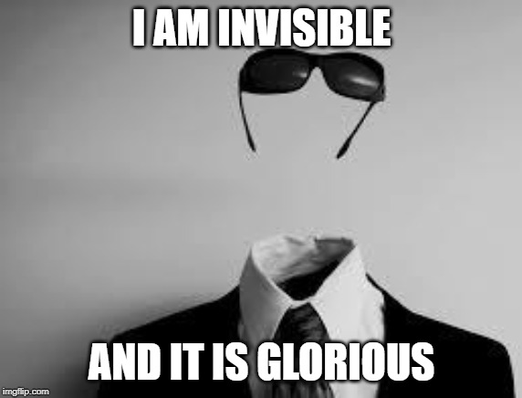 The Invisible Man | I AM INVISIBLE; AND IT IS GLORIOUS | image tagged in the invisible man | made w/ Imgflip meme maker