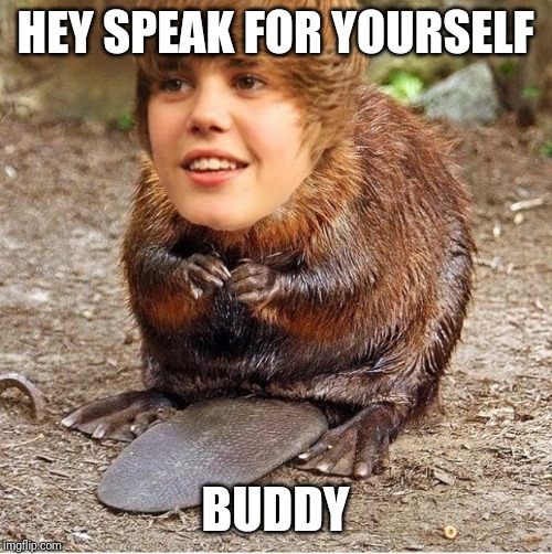 justin beaver | HEY SPEAK FOR YOURSELF; BUDDY | image tagged in justin beaver | made w/ Imgflip meme maker