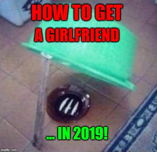 Acquire a girlfriend | HOW TO GET; A GIRLFRIEND; ... IN 2019! | image tagged in acquire a girlfriend | made w/ Imgflip meme maker