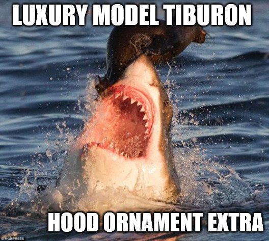 Travelonshark | LUXURY MODEL TIBURON; HOOD ORNAMENT EXTRA | image tagged in memes,travelonshark | made w/ Imgflip meme maker