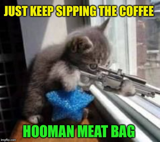 Sniper Cat | JUST KEEP SIPPING THE COFFEE HOOMAN MEAT BAG | image tagged in sniper cat | made w/ Imgflip meme maker