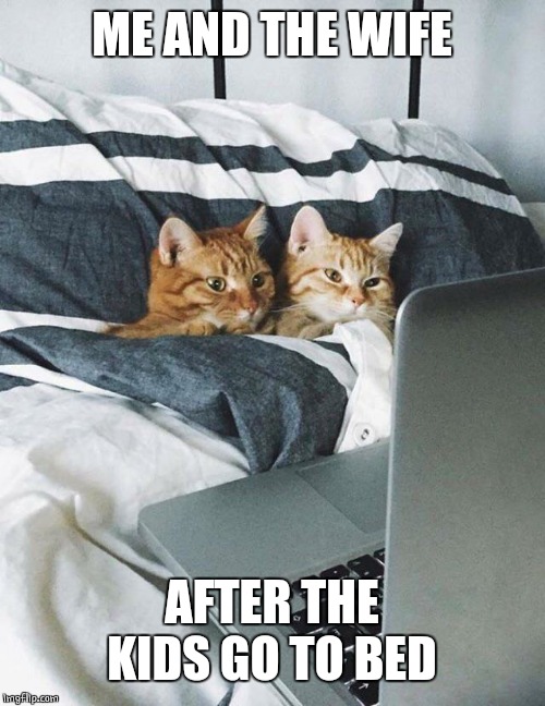 THE WIFE AND I | ME AND THE WIFE; AFTER THE KIDS GO TO BED | image tagged in cats,cute cat | made w/ Imgflip meme maker