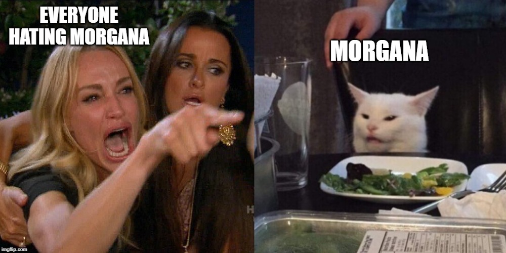 Woman yelling at cat | MORGANA; EVERYONE HATING MORGANA | image tagged in woman yelling at cat,Persona5 | made w/ Imgflip meme maker