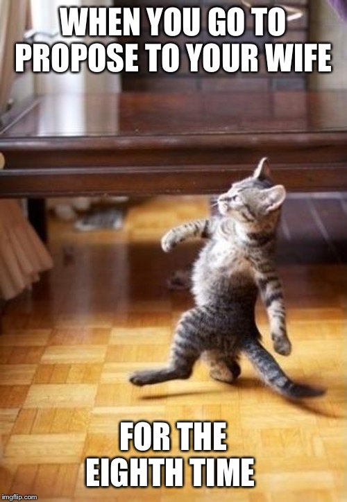Cool Cat Stroll Meme | WHEN YOU GO TO PROPOSE TO YOUR WIFE; FOR THE EIGHTH TIME | image tagged in memes,cool cat stroll | made w/ Imgflip meme maker