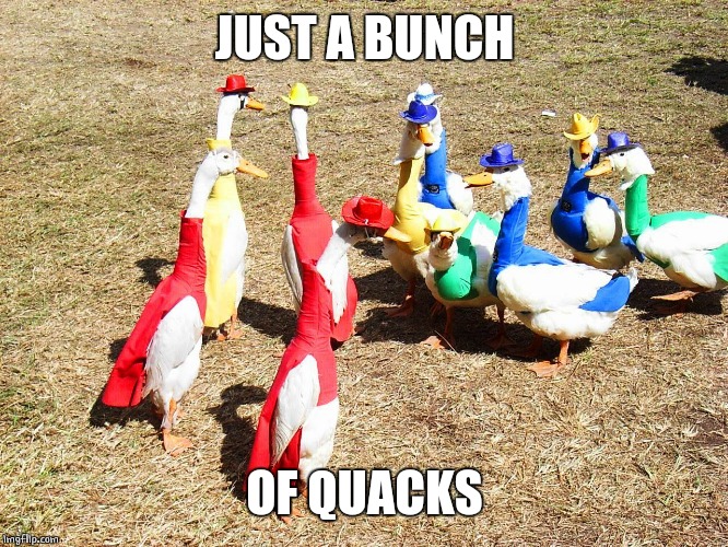 DUCK COSPLAY | JUST A BUNCH; OF QUACKS | image tagged in cosplay,ducks,duck,funny ducks | made w/ Imgflip meme maker