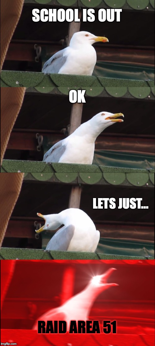 Inhaling Seagull Meme | SCHOOL IS OUT OK LETS JUST... RAID AREA 51 | image tagged in memes,inhaling seagull | made w/ Imgflip meme maker