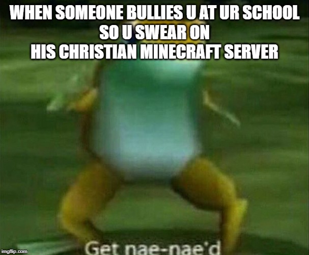 Get nae-nae'd | WHEN SOMEONE BULLIES U AT UR SCHOOL
SO U SWEAR ON HIS CHRISTIAN MINECRAFT SERVER | image tagged in get nae-nae'd | made w/ Imgflip meme maker