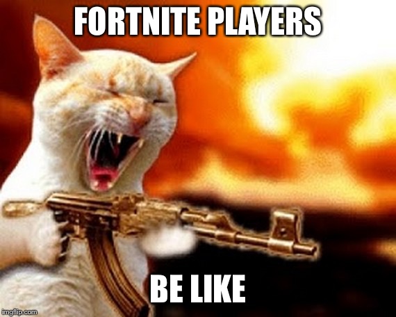 machine gun cat | FORTNITE PLAYERS; BE LIKE | image tagged in machine gun cat | made w/ Imgflip meme maker