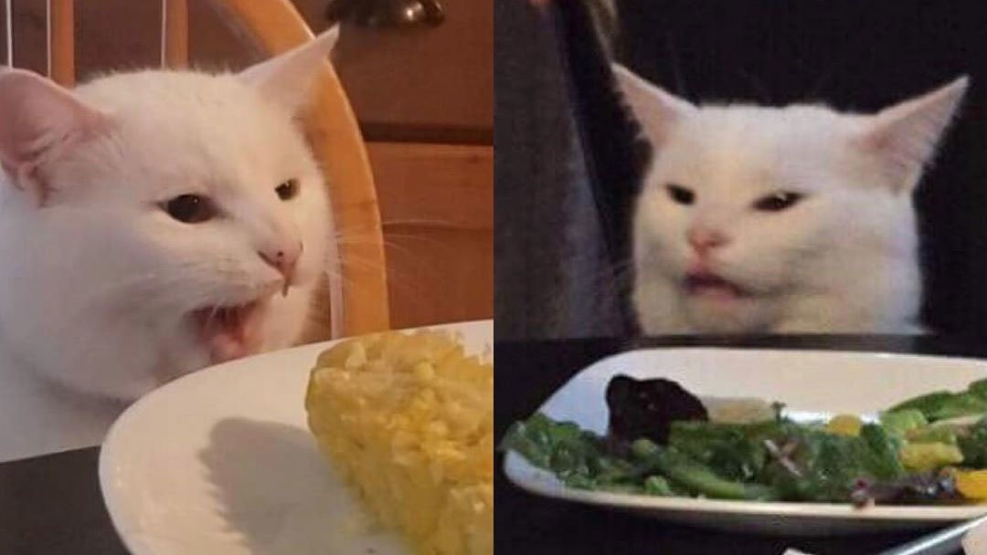 Cat Sitting At Table Salad Meme
