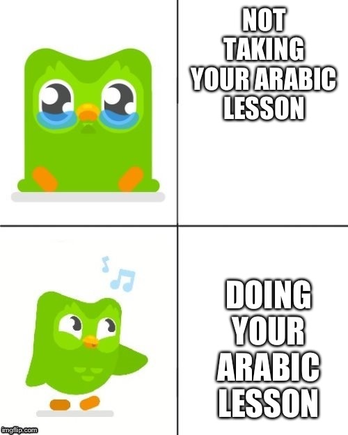 NOT TAKING YOUR ARABIC LESSON; DOING YOUR ARABIC LESSON | made w/ Imgflip meme maker