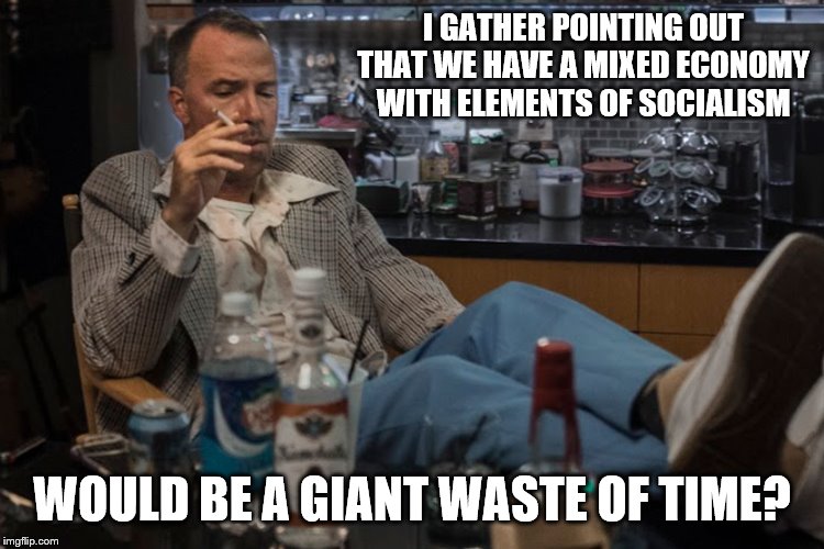 I GATHER POINTING OUT THAT WE HAVE A MIXED ECONOMY WITH ELEMENTS OF SOCIALISM WOULD BE A GIANT WASTE OF TIME? | made w/ Imgflip meme maker
