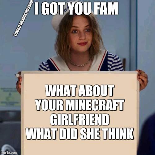 Robin Stranger Things Meme | I GOT YOU FAM I LIKED IT BECAUSE YOU ASKED WHAT ABOUT YOUR MINECRAFT GIRLFRIEND WHAT DID SHE THINK | image tagged in robin stranger things meme | made w/ Imgflip meme maker