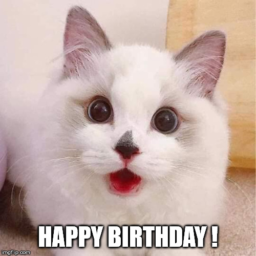 Kitty Sez Happy Birthday | HAPPY BIRTHDAY ! | image tagged in kitty sez | made w/ Imgflip meme maker