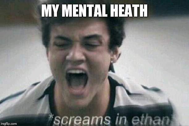 screams in ethan | MY MENTAL HEATH | image tagged in screams in ethan | made w/ Imgflip meme maker