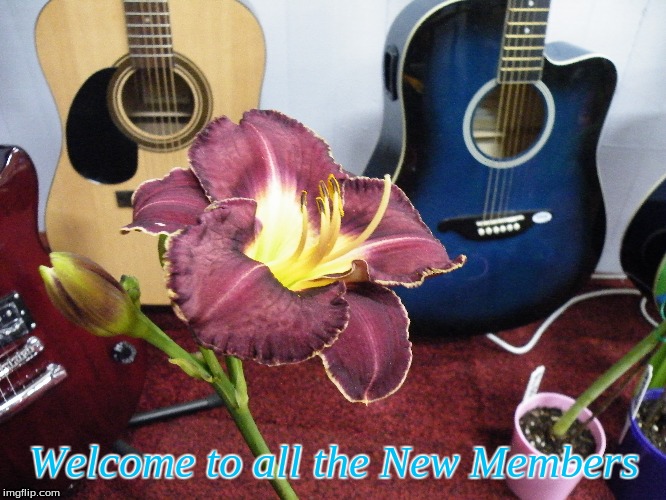 Welcome to all the New Members | Welcome to all the New Members | image tagged in memes,welcome,music,flowers | made w/ Imgflip meme maker