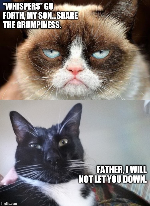 *WHISPERS* GO FORTH, MY SON...SHARE THE GRUMPINESS. FATHER, I WILL NOT LET YOU DOWN. | image tagged in memes,grumpy cat not amused | made w/ Imgflip meme maker