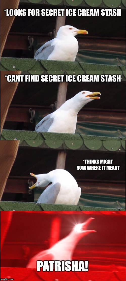 Inhaling Seagull Meme | *LOOKS FOR SECRET ICE CREAM STASH; *CANT FIND SECRET ICE CREAM STASH; *THINKS MIGHT NOW WHERE IT MEANT; PATRISHA! | image tagged in memes,inhaling seagull | made w/ Imgflip meme maker