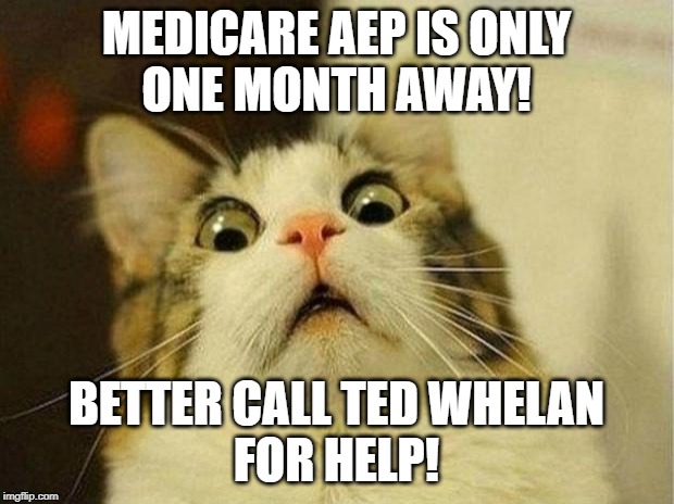 Scared Cat | MEDICARE AEP IS ONLY
ONE MONTH AWAY! BETTER CALL TED WHELAN
FOR HELP! | image tagged in memes,scared cat | made w/ Imgflip meme maker