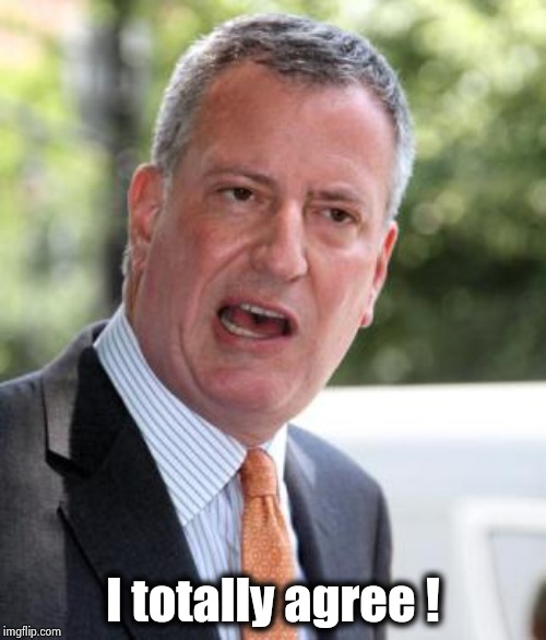 De Blasio | I totally agree ! | image tagged in de blasio | made w/ Imgflip meme maker