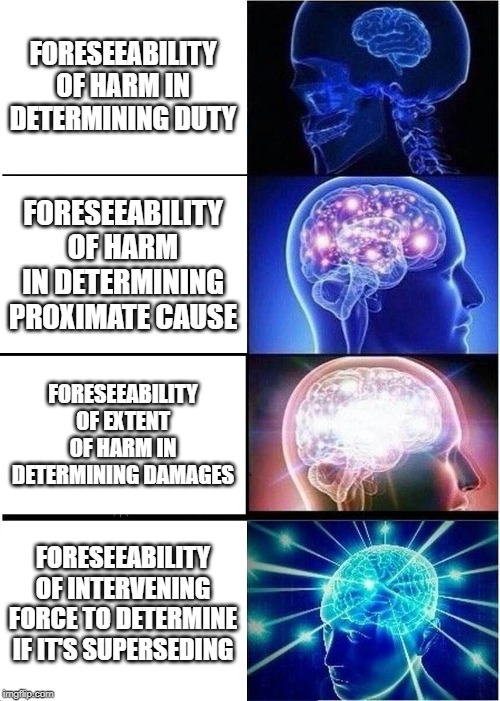 Expanding Brain Meme | FORESEEABILITY OF HARM IN DETERMINING DUTY; FORESEEABILITY OF HARM IN DETERMINING PROXIMATE CAUSE; FORESEEABILITY OF EXTENT OF HARM IN DETERMINING DAMAGES; FORESEEABILITY OF INTERVENING FORCE TO DETERMINE IF IT'S SUPERSEDING | image tagged in memes,expanding brain | made w/ Imgflip meme maker