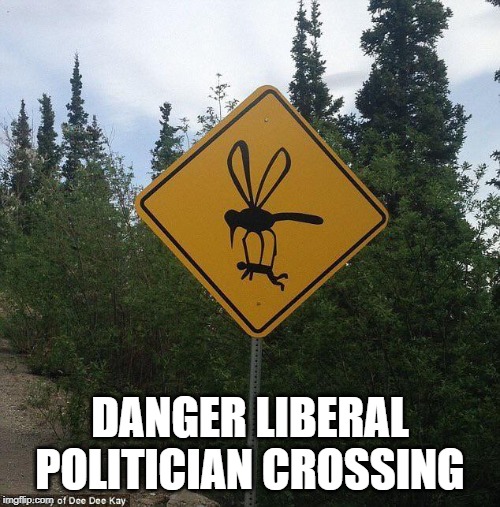 Liberal crossing | DANGER LIBERAL POLITICIAN CROSSING | image tagged in liberals,liberal logic,blood suckers,democrats,politicians | made w/ Imgflip meme maker