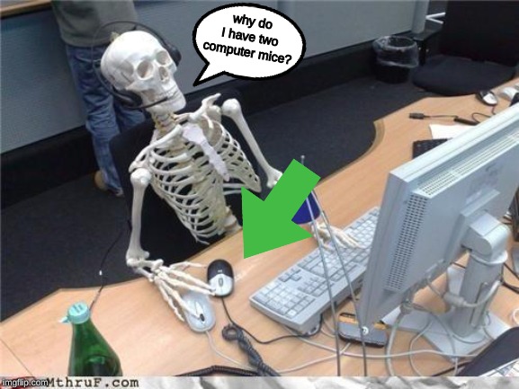 Waiting skeleton | why do I have two computer mice? | image tagged in waiting skeleton,memes,computer,mouse | made w/ Imgflip meme maker