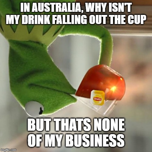 But That's None Of My Business Meme | IN AUSTRALIA, WHY ISN'T MY DRINK FALLING OUT THE CUP; BUT THATS NONE OF MY BUSINESS | image tagged in memes,but thats none of my business,kermit the frog | made w/ Imgflip meme maker