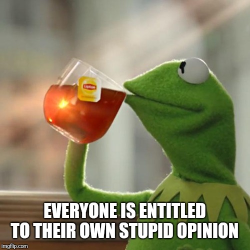 But That's None Of My Business Meme | EVERYONE IS ENTITLED TO THEIR OWN STUPID OPINION | image tagged in memes,but thats none of my business,kermit the frog | made w/ Imgflip meme maker