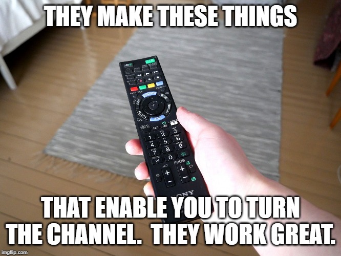 remote control | THEY MAKE THESE THINGS THAT ENABLE YOU TO TURN THE CHANNEL.  THEY WORK GREAT. | image tagged in remote control | made w/ Imgflip meme maker