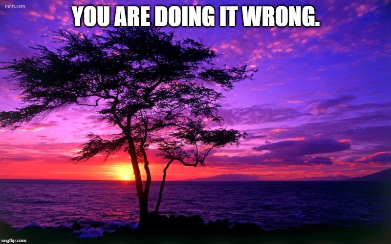 Sunrise purple beauty | YOU ARE DOING IT WRONG. | image tagged in sunrise purple beauty | made w/ Imgflip meme maker