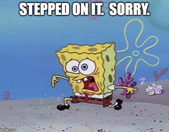 step on your right foot DONT FORGET IT | STEPPED ON IT.  SORRY. | image tagged in step on your right foot dont forget it | made w/ Imgflip meme maker