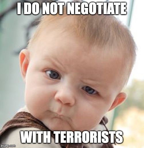 Skeptical Baby Meme | I DO NOT NEGOTIATE WITH TERRORISTS | image tagged in memes,skeptical baby | made w/ Imgflip meme maker
