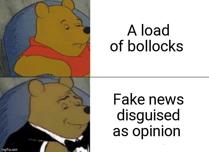 Tuxedo Winnie The Pooh Meme | A load of bollocks Fake news disguised as opinion | image tagged in memes,tuxedo winnie the pooh | made w/ Imgflip meme maker
