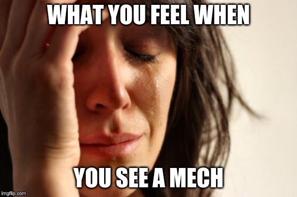 First World Problems | WHAT YOU FEEL WHEN; YOU SEE A MECH | image tagged in memes,first world problems | made w/ Imgflip meme maker