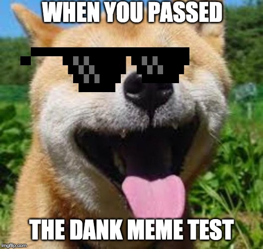 Happy Doge | WHEN YOU PASSED; THE DANK MEME TEST | image tagged in happy doge | made w/ Imgflip meme maker