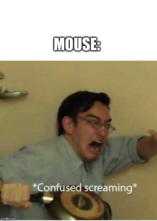 confused screaming | MOUSE: | image tagged in confused screaming | made w/ Imgflip meme maker