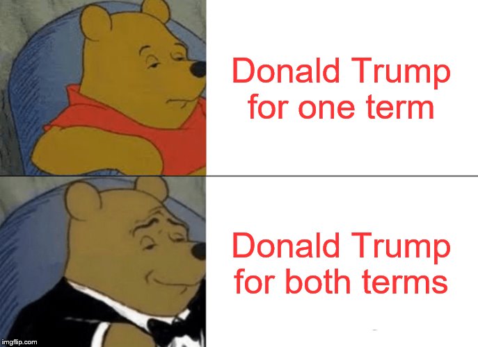 He has done good in his first term. Not to mention surviving so much lies and BS | Donald Trump for one term; Donald Trump for both terms | image tagged in tuxedo winnie the pooh,president trump,trump 2020,crying liberals,republicans,triggered liberal | made w/ Imgflip meme maker