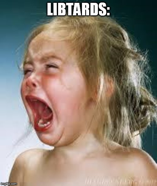 Crying Baby | LIBTARDS: | image tagged in crying baby | made w/ Imgflip meme maker