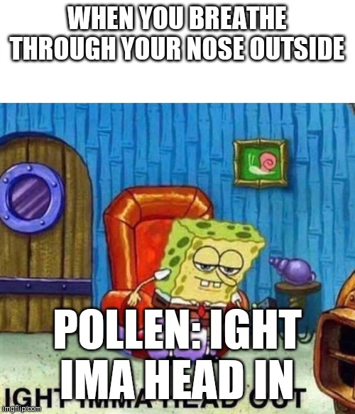 Spongebob Ight Imma Head Out | WHEN YOU BREATHE THROUGH YOUR NOSE OUTSIDE; POLLEN: IGHT IMA HEAD IN | image tagged in spongebob ight imma head out | made w/ Imgflip meme maker