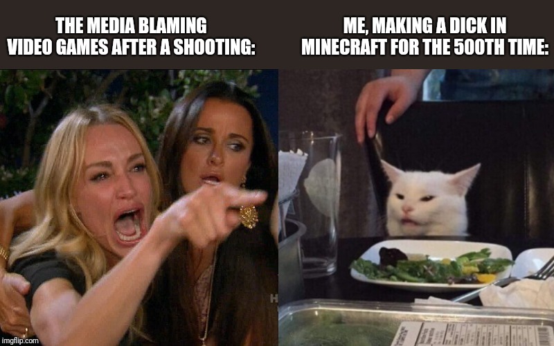 Woman yelling at cat | ME, MAKING A DICK IN MINECRAFT FOR THE 500TH TIME:; THE MEDIA BLAMING VIDEO GAMES AFTER A SHOOTING: | image tagged in woman yelling at cat | made w/ Imgflip meme maker