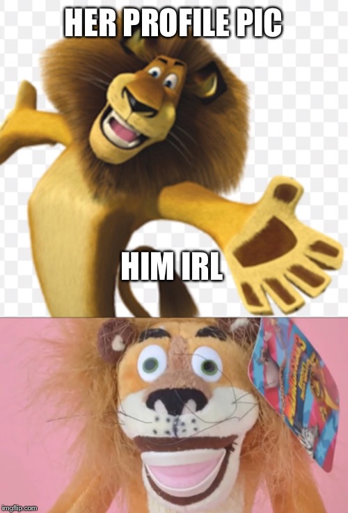 Catfishin be like | HER PROFILE PIC; HIM IRL | image tagged in catfish,lion,madagascar,funny animals,furry,moto moto | made w/ Imgflip meme maker