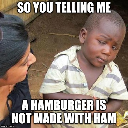 Third World Skeptical Kid Meme | SO YOU TELLING ME; A HAMBURGER IS NOT MADE WITH HAM | image tagged in memes,third world skeptical kid | made w/ Imgflip meme maker