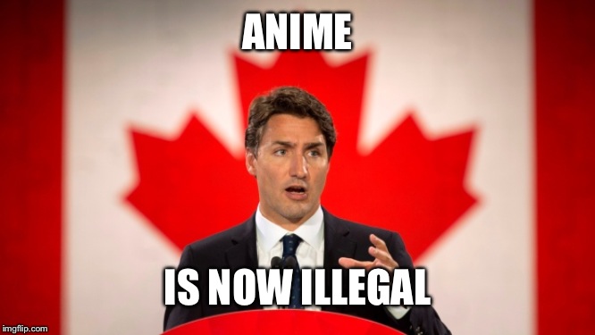 Justin Trudeau | ANIME IS NOW ILLEGAL | image tagged in justin trudeau | made w/ Imgflip meme maker
