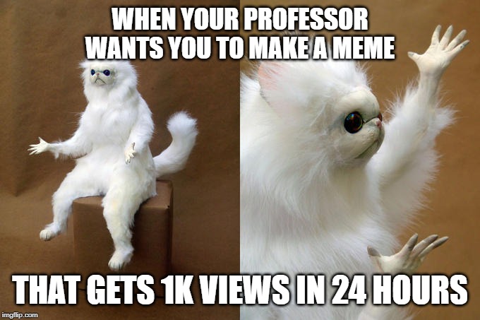 Persian Cat Room Guardian | WHEN YOUR PROFESSOR WANTS YOU TO MAKE A MEME; THAT GETS 1K VIEWS IN 24 HOURS | image tagged in memes,persian cat room guardian | made w/ Imgflip meme maker