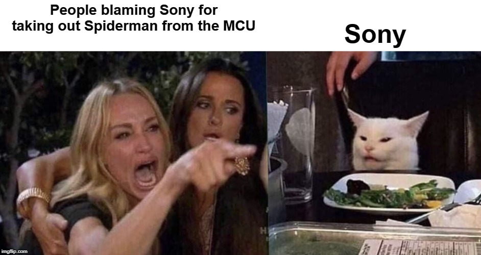 Its Disney's fault, not Sony!! | People blaming Sony for taking out Spiderman from the MCU; Sony | image tagged in woman yelling at cat | made w/ Imgflip meme maker